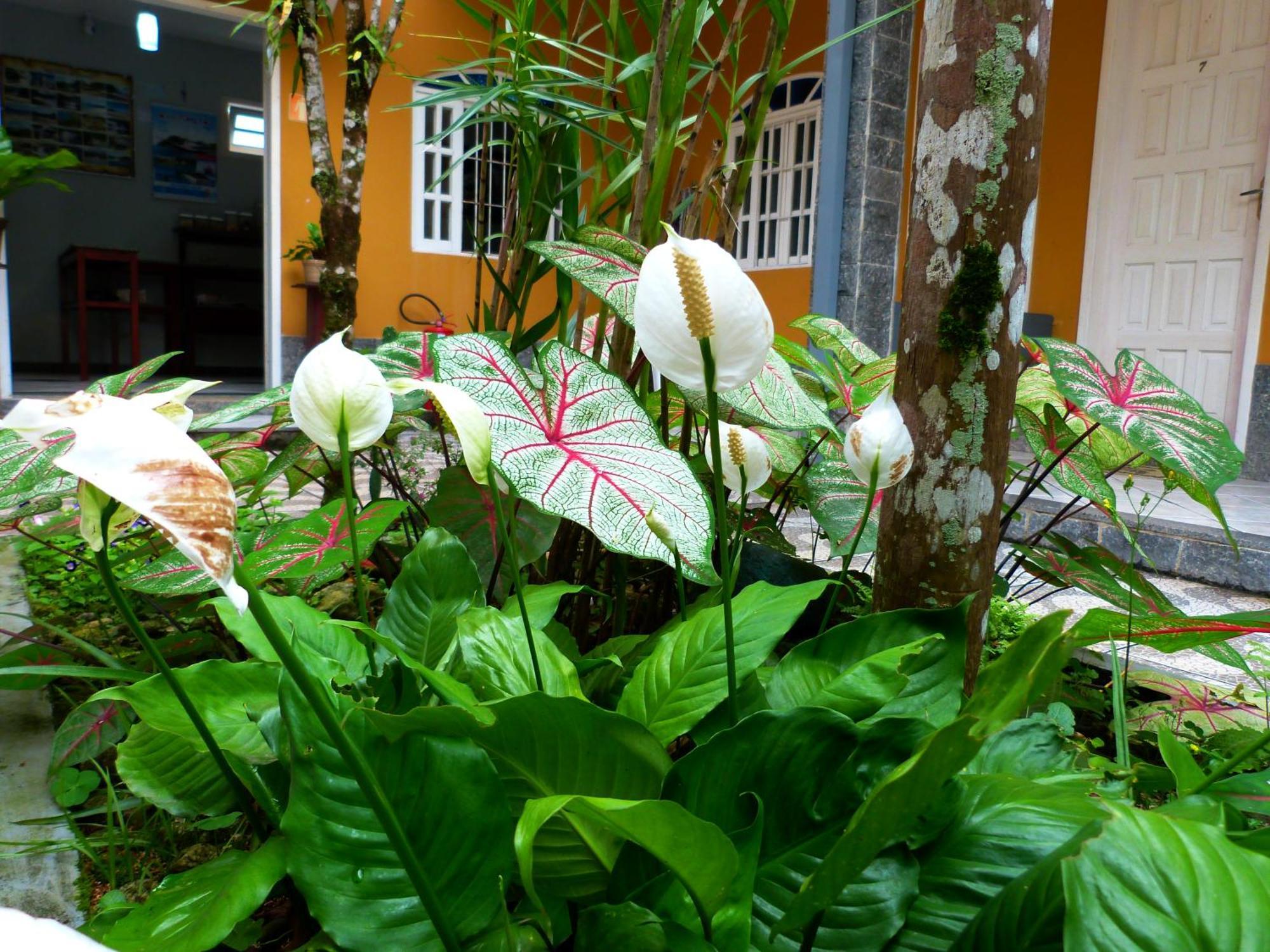 Pousada Vila Do Sonho 帕拉蒂 外观 照片